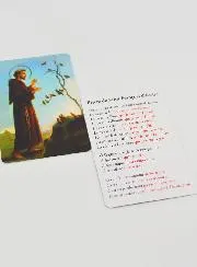 Saint Francis Prayer Card