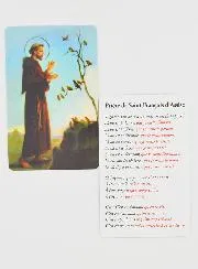 Saint Francis Prayer Card