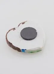 Heart of Lourdes Magnet