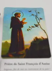 Saint Francis Incense Cones